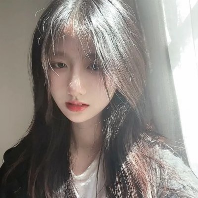 小象寻母