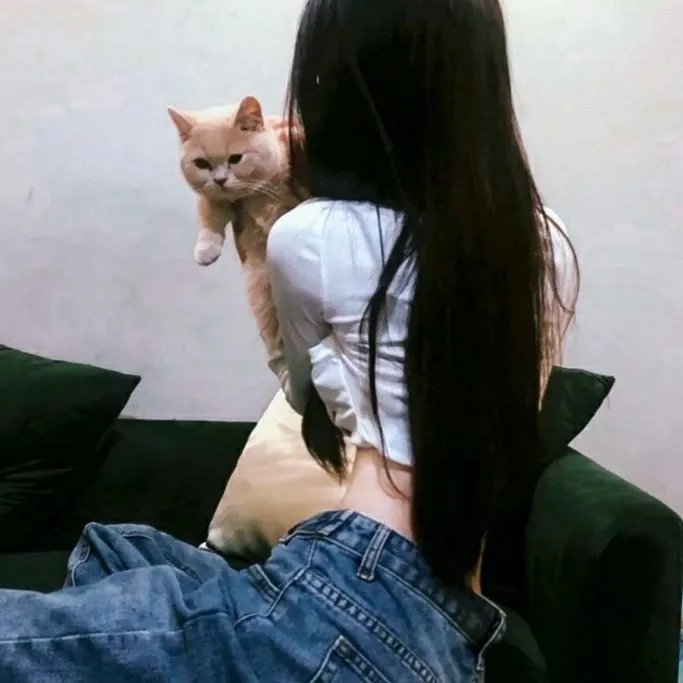 大灰熊2